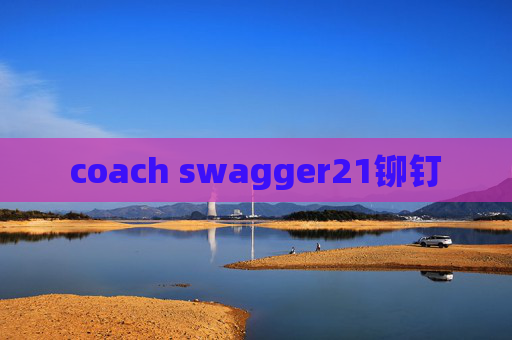 coach swagger21铆钉